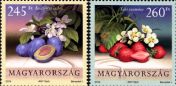 Cultivated Flora of Hungary: fruit
