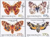 Magyarország állatvilága: lepkék, pillangók