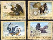 Magyarország állatvilága - madarak sorozat
