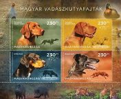 For youth 2024: Hungarian hunting dog breeds 